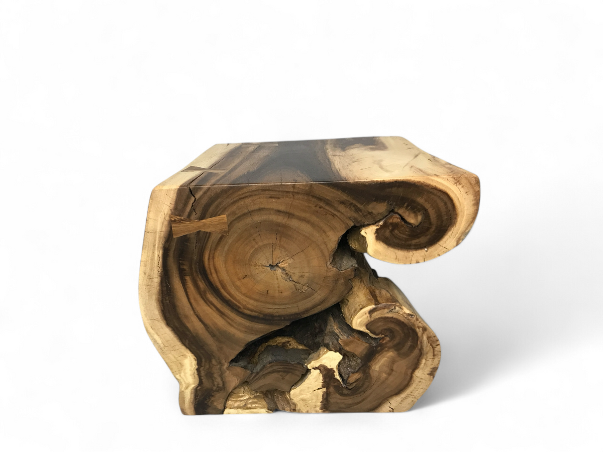 Console (tronc) en bois de Suar